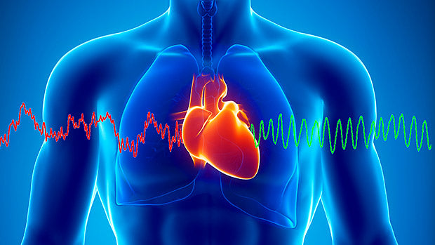 Understanding Heart Rate Variability: A Key Indicator of Fitness