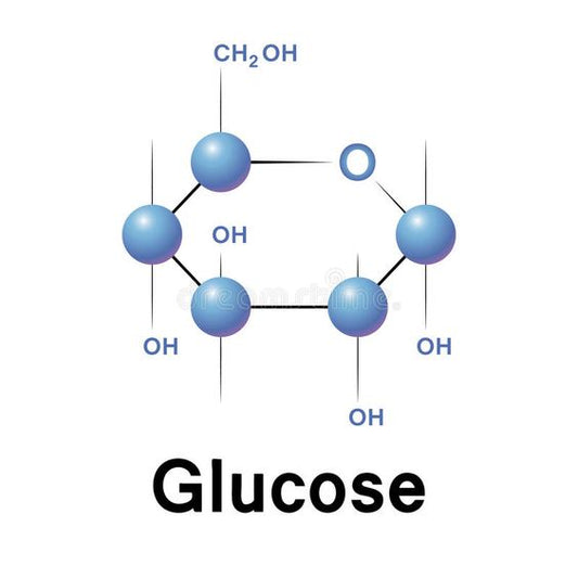 Breakdown of Glucose.