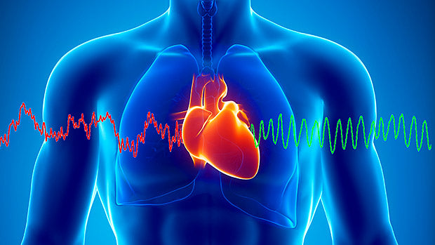 Understanding Heart Rate Variability: A Key Indicator of Fitness