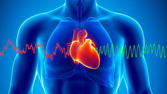 Understanding Heart Rate Variability: A Key Indicator of Fitness